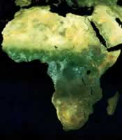 Afrika trkp