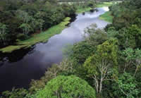 Amerika Amazonas